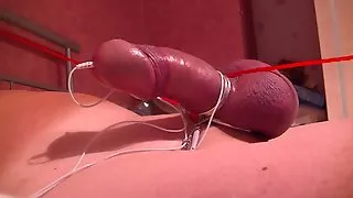Bound cock electro