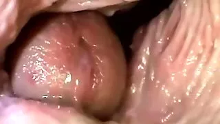 Inside a pussy