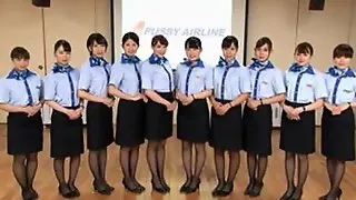 Pussy Airline