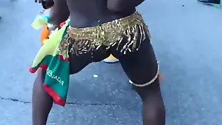 Caribbean parade Brooklyn